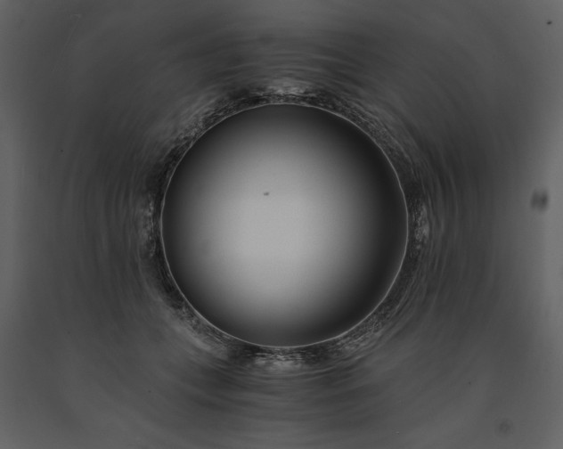 X0000091220559200708231633