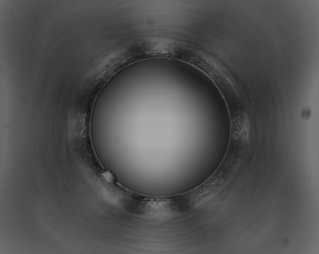 X0000091220560200708231633