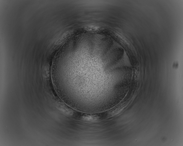 X0000091220561200708231633