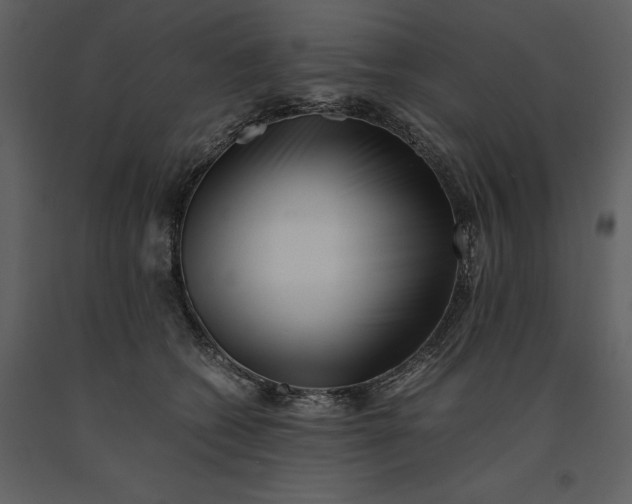 X0000091220562200708231633