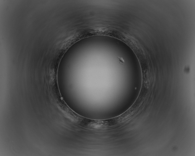 X0000091220563200708231633