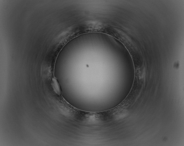 X0000091220564200708231633