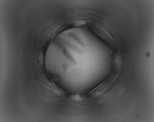 X0000091220565200708231633