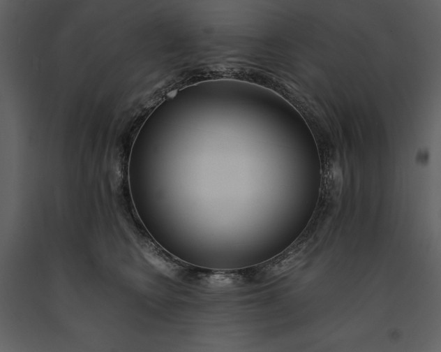 X0000091220566200708231633