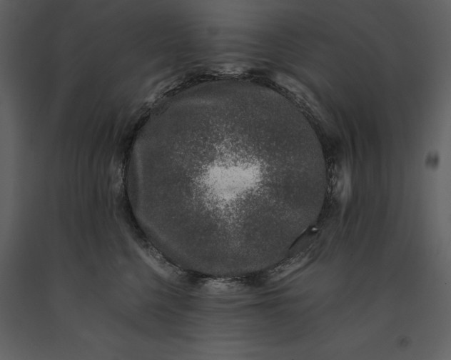 X0000091220568200708231633