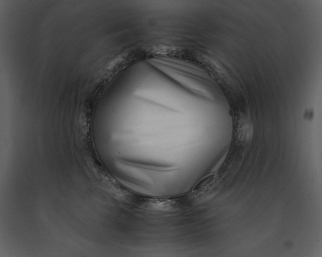 X0000091220569200708231633