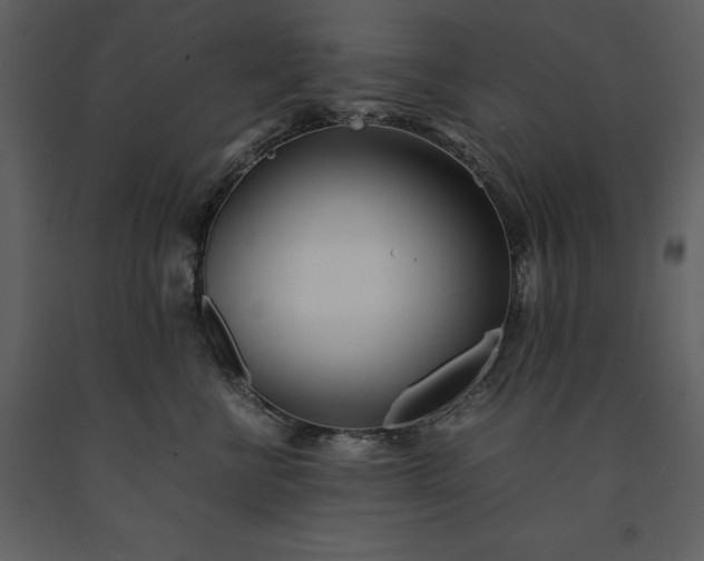 X0000091220570200708231634