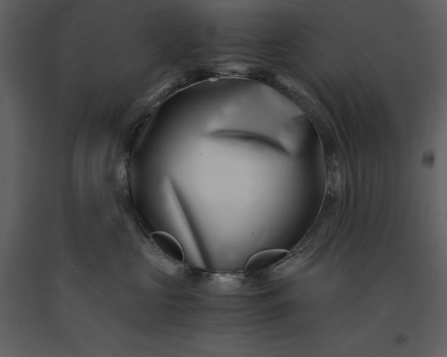 X0000091220573200708231634