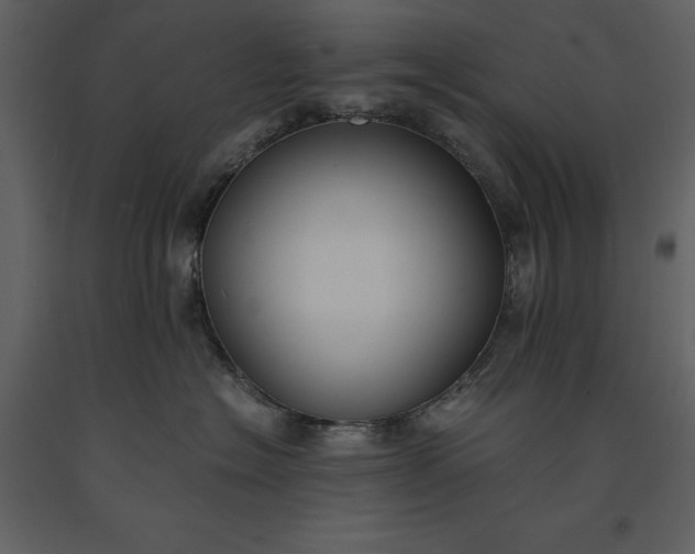 X0000091220574200708231634