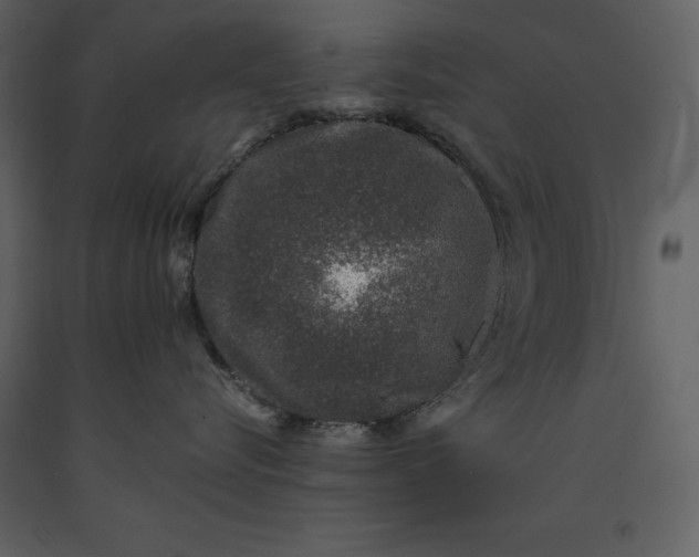 X0000091220576200708231634