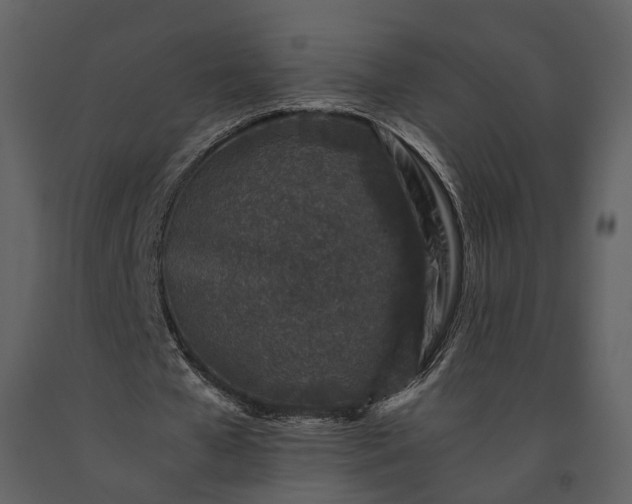 X0000091220577200708231633