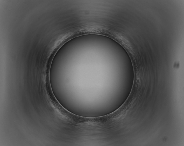 X0000091220578200708231633