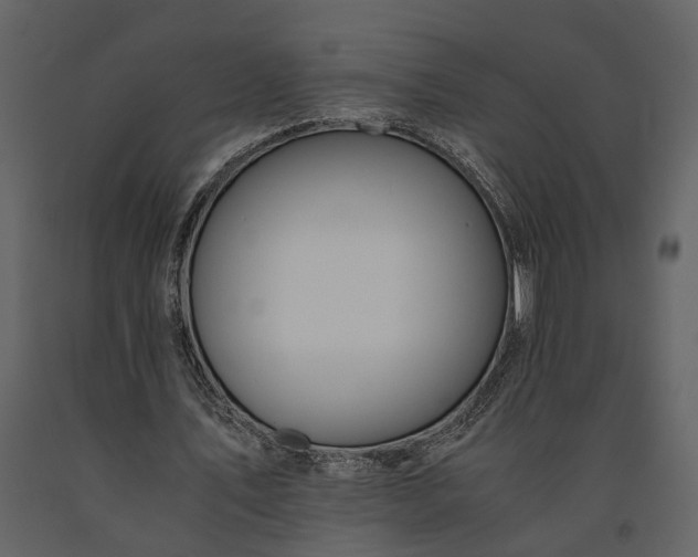 X0000091220579200708231633