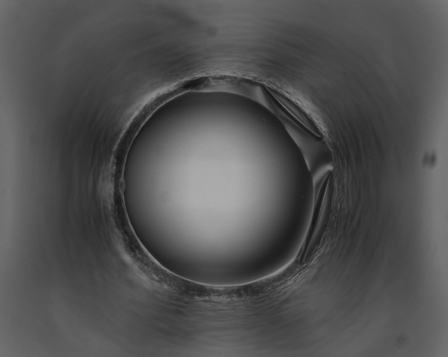 X0000091220580200708231633