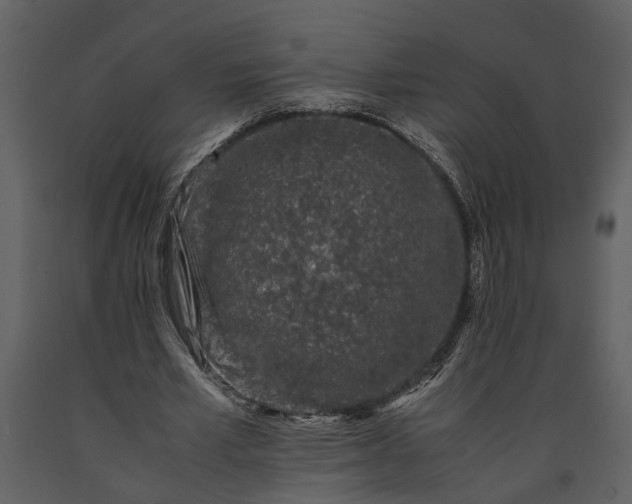 X0000091220581200708231633