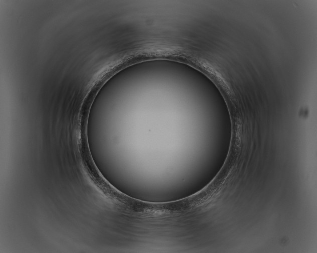 X0000091220582200708231633