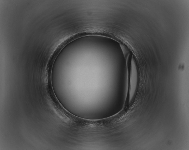 X0000091220584200708231633