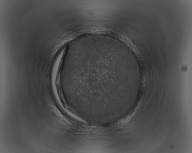 X0000091220585200708231633