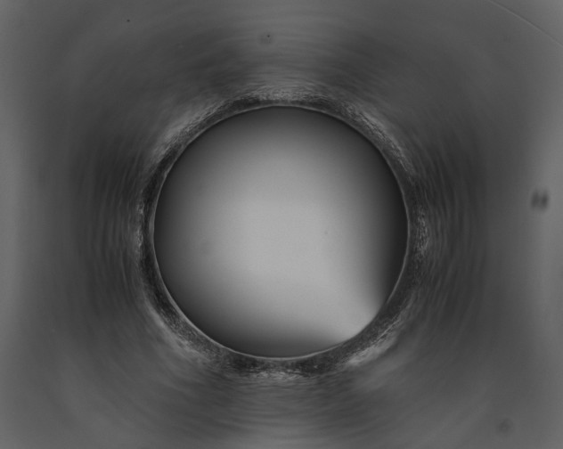 X0000091220586200708231633