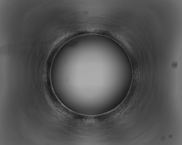 X0000091220587200708231633