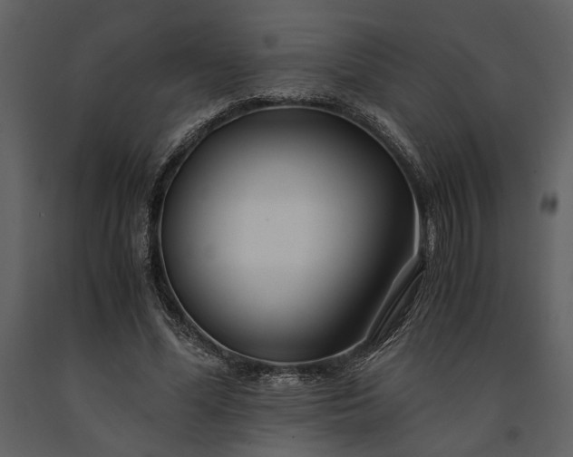 X0000091220588200708231633