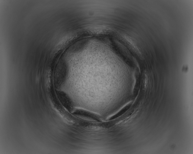 X0000091220590200708231633