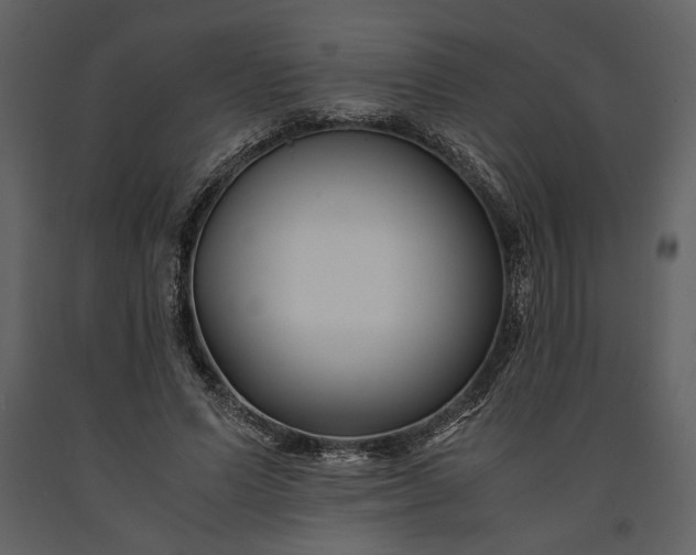 X0000091220591200708231633