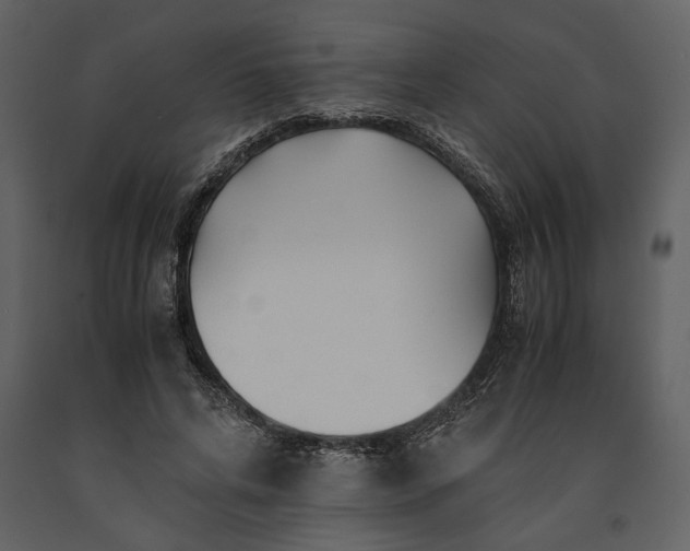 X0000091220592200708231633