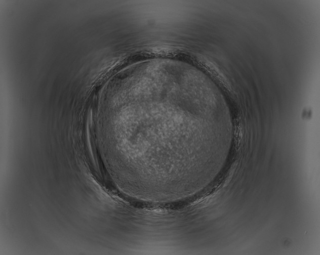 X0000091220593200708231633