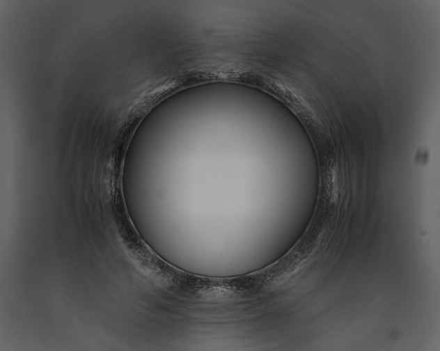 X0000091220594200708231633