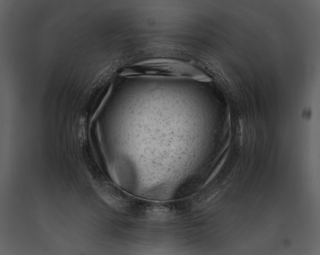 X0000091220598200708231632