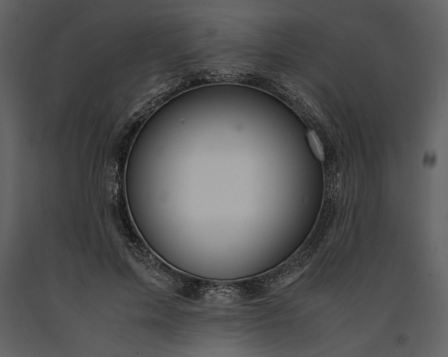 X0000091220599200708231632