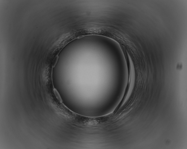 X0000091220600200708231632