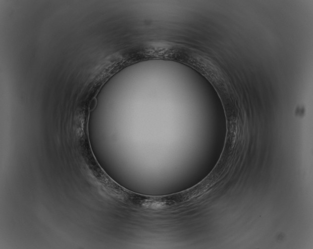 X0000091220602200708231632