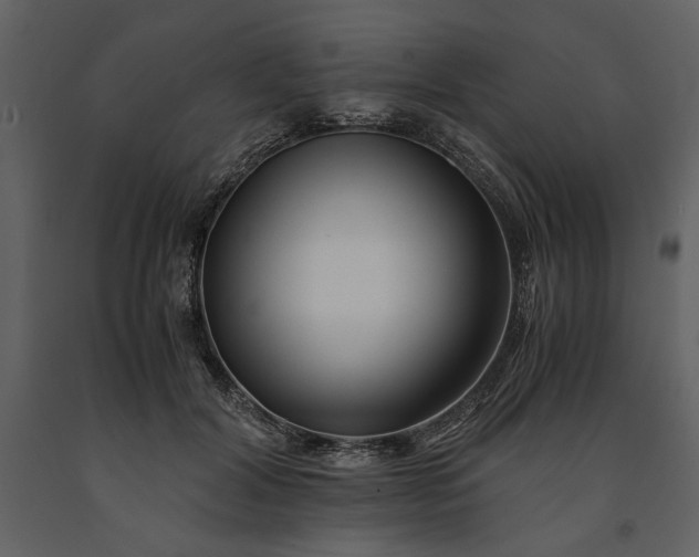 X0000091220604200708231632