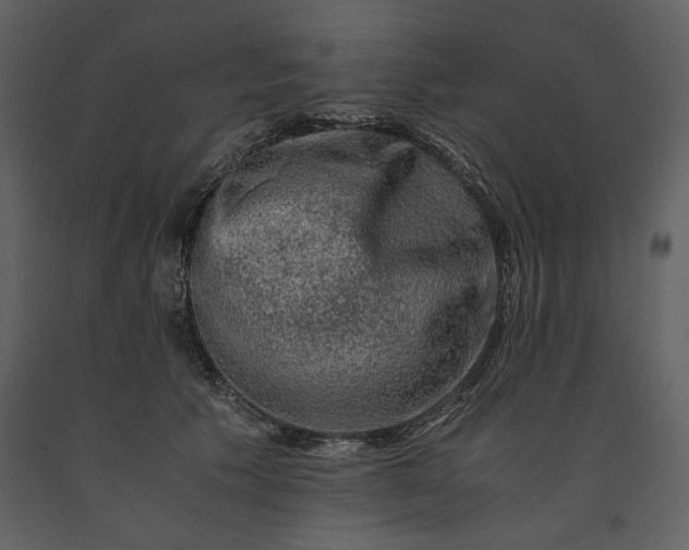 X0000091220609200708231632