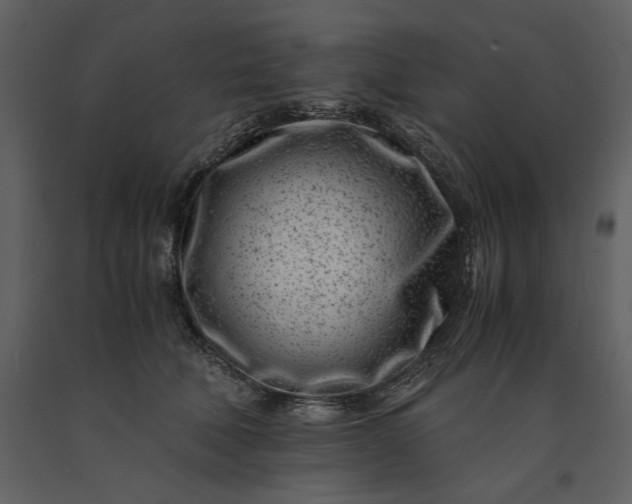 X0000091220610200708231632