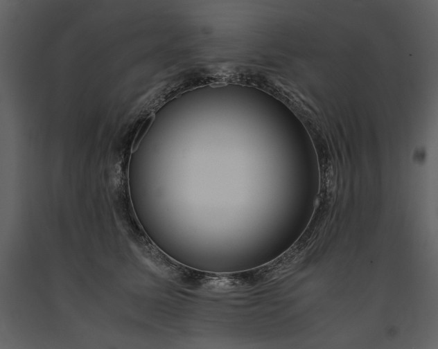 X0000091220611200708231632