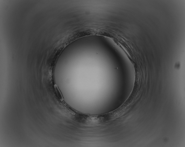 X0000091220613200708231632