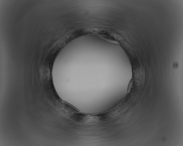 X0000091220617200708231632