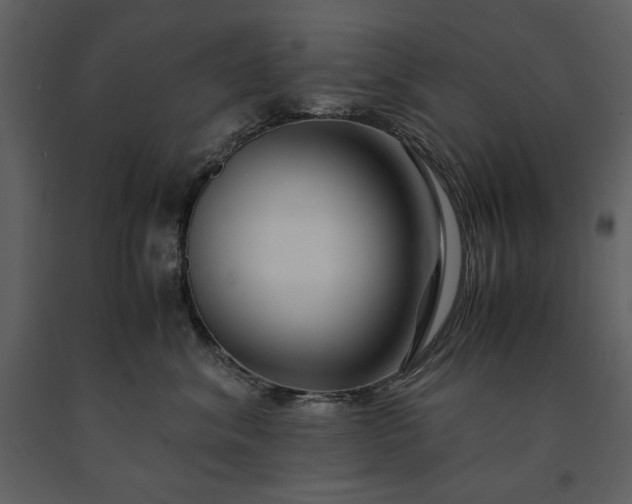 X0000091220620200708231632