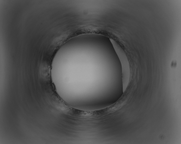 X0000091220624200708231632