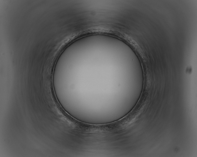 X0000091220625200708231631