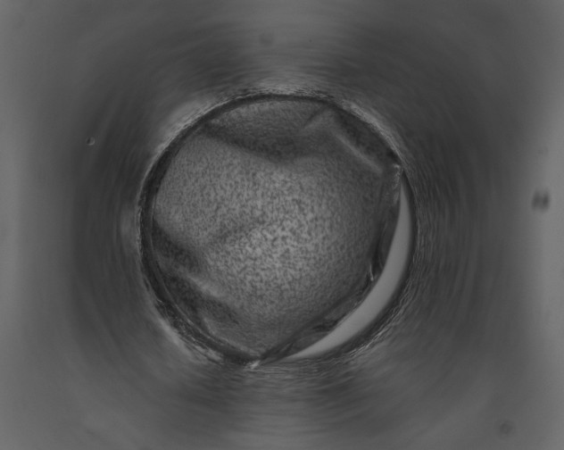 X0000091220626200708231631