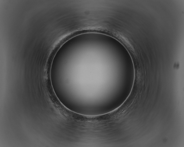 X0000091220628200708231631