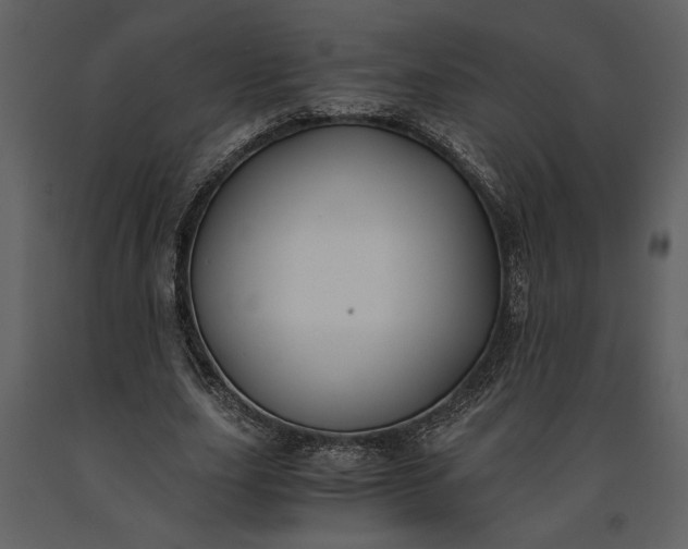 X0000091220631200708231632