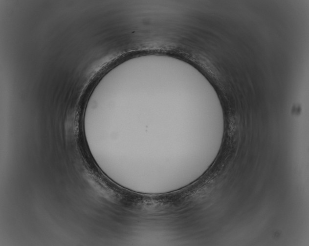 X0000091220632200708231632