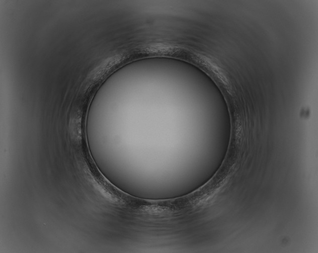 X0000091220633200708231632