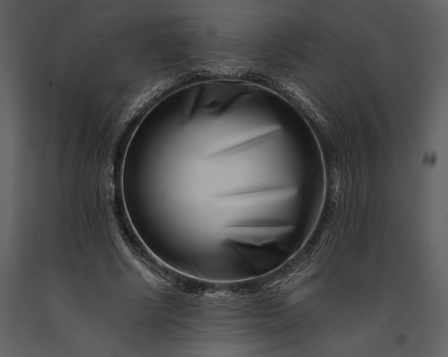 X0000091220634200708231632