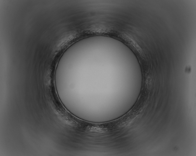 X0000091220635200708231632